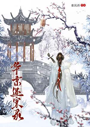 华京迷案录(探案)